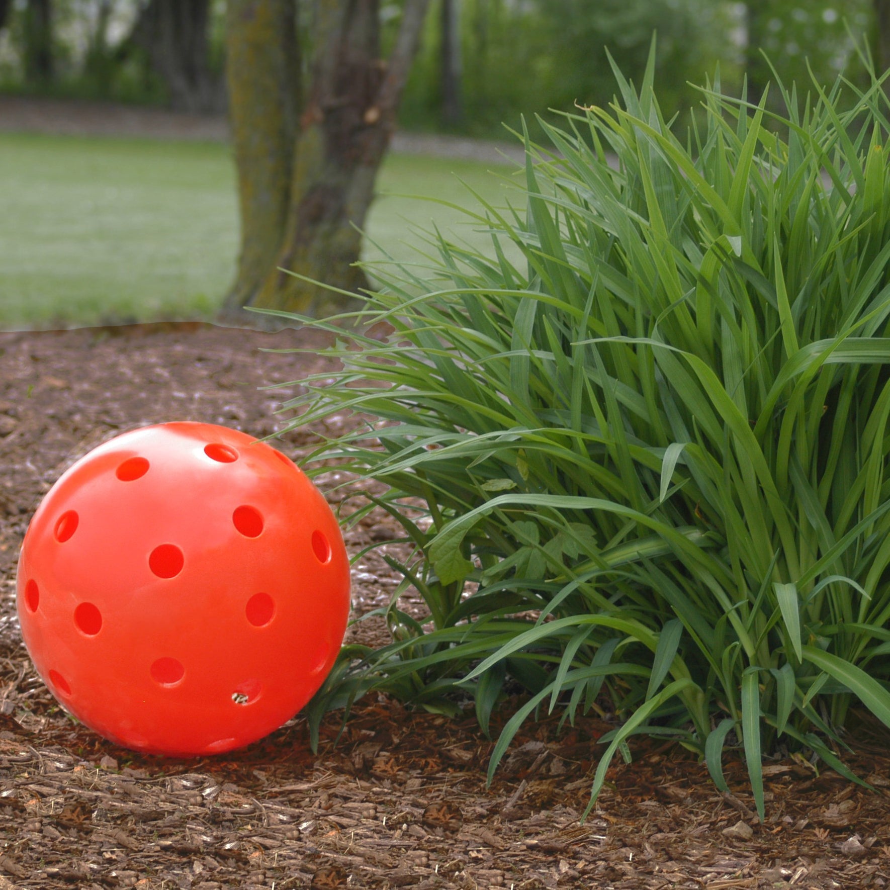 Snitty Stuff Oversized Pickleballs | Sports Décorations – Snitty Stuff