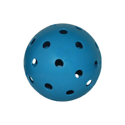 Giant Pickleball - Blue | Sports Décor